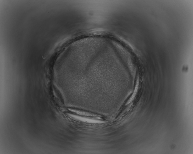 X0000101091447200807171837