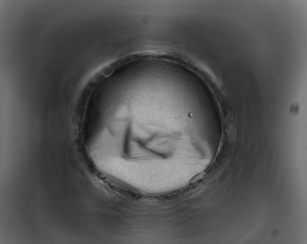 X0000101091448200807171836