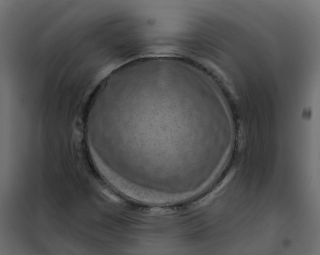 X0000101091449200807171836