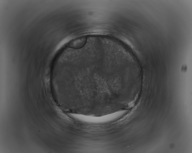 X0000101091450200807171836