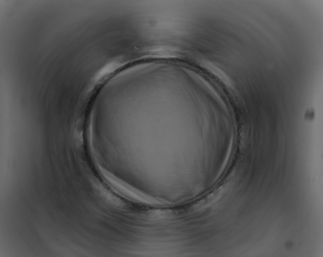 X0000101091451200807171836