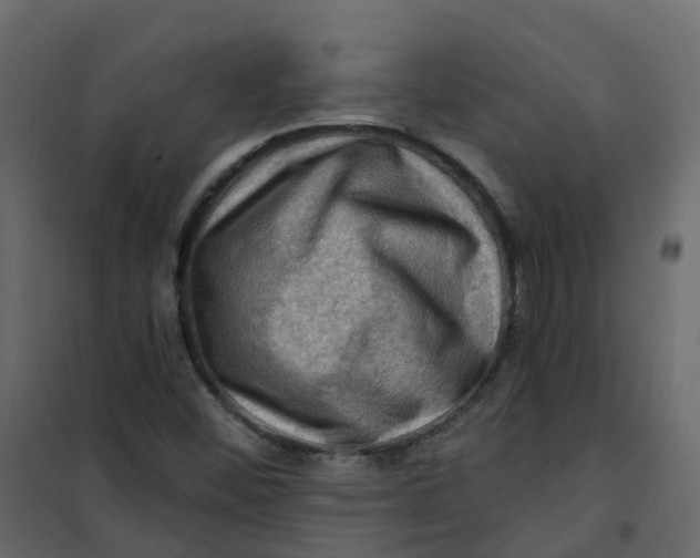 X0000101091452200807171836