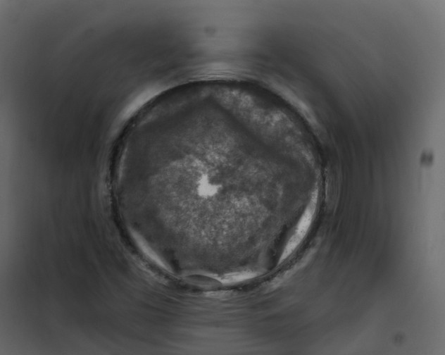 X0000101091453200807171836