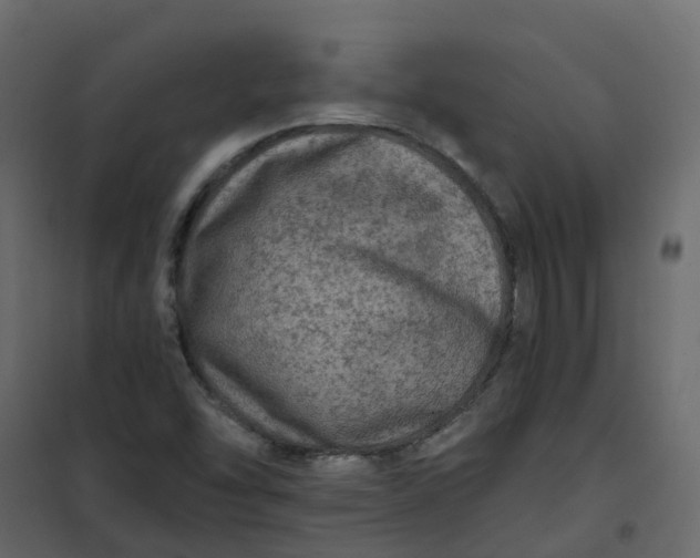 X0000101091454200807171836