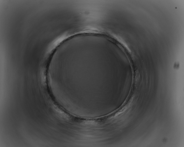 X0000101091455200807171836