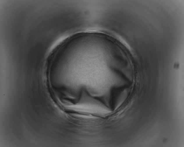 X0000101091456200807171836