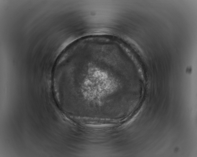 X0000101091457200807171836