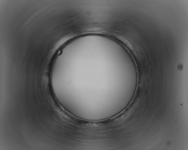 X0000101091458200807171836