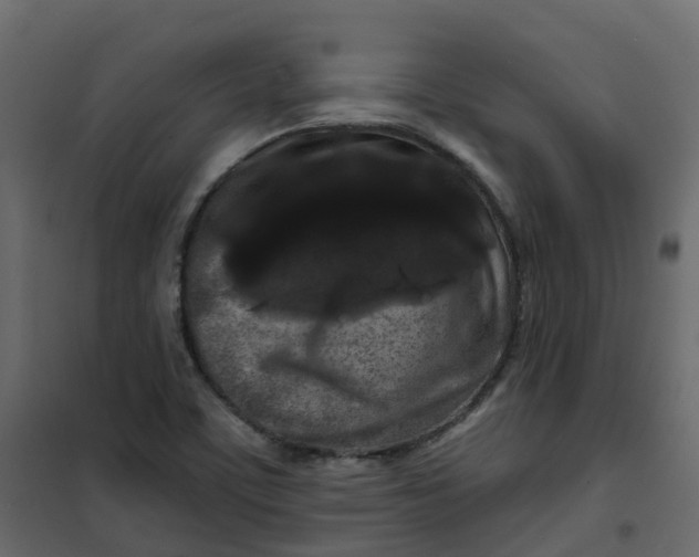 X0000101091459200807171836