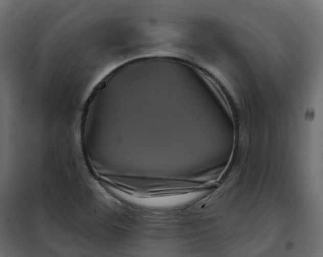 X0000101091460200807171836