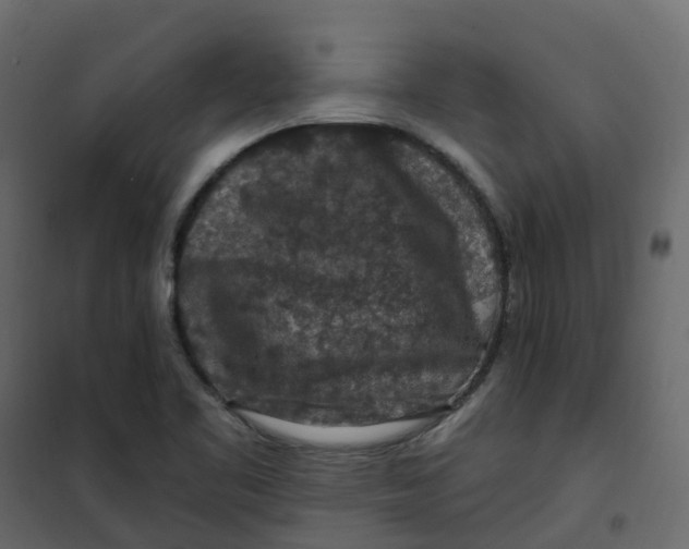 X0000101091461200807171836