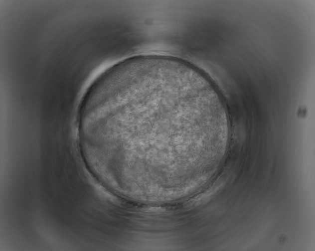 X0000101091462200807171836