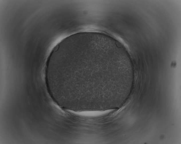 X0000101091463200807171836