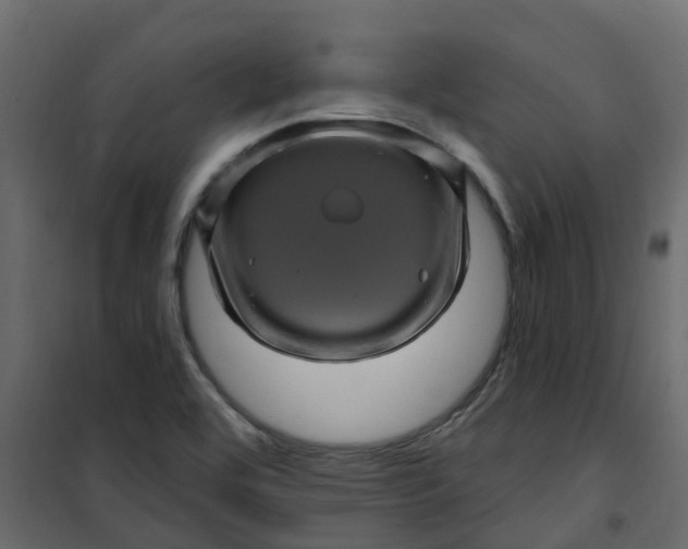 X0000101091464200807171836