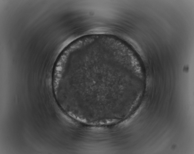 X0000101091465200807171836