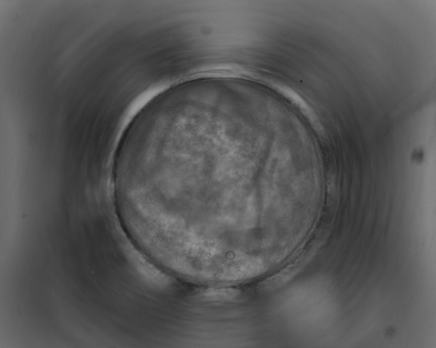 X0000101091466200807171836