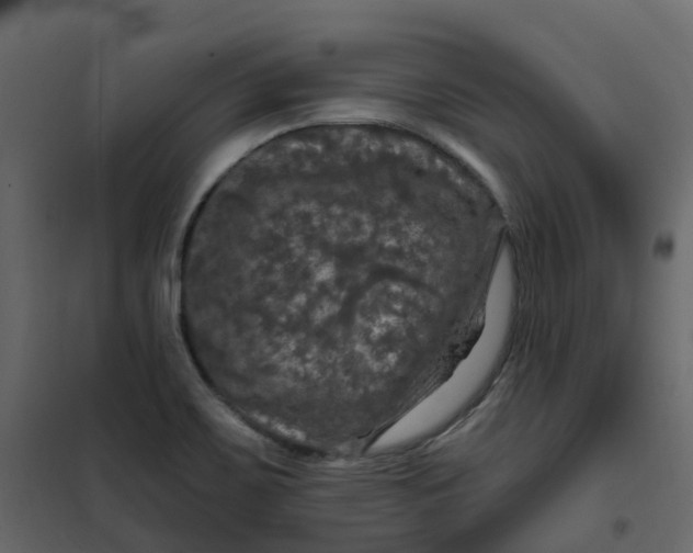 X0000101091467200807171836