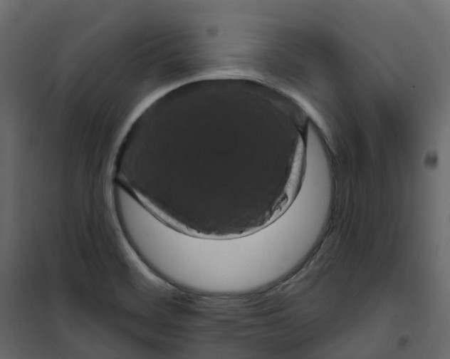 X0000101091468200807171836