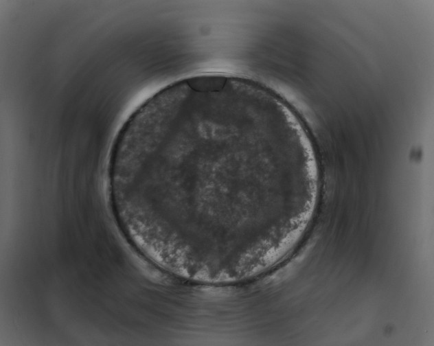 X0000101091469200807171836