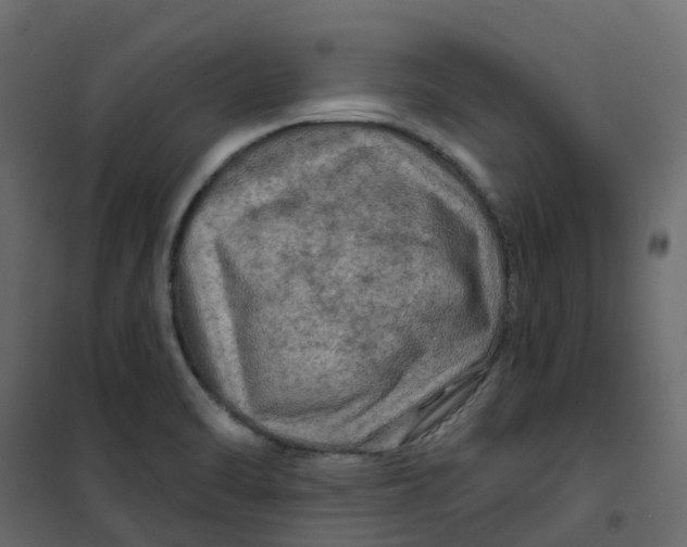 X0000101091470200807171836