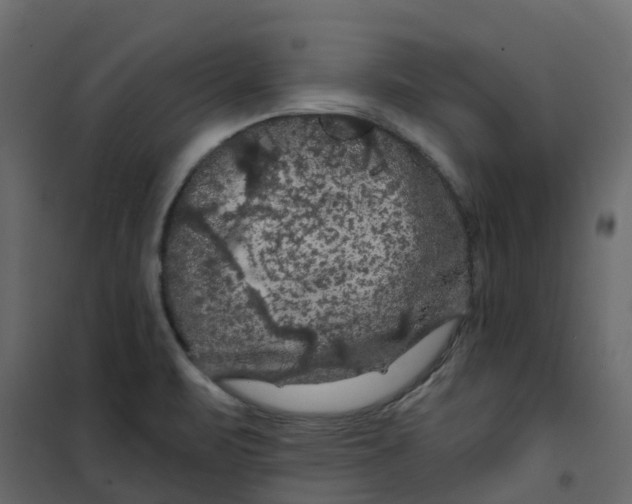 X0000101091471200807171836