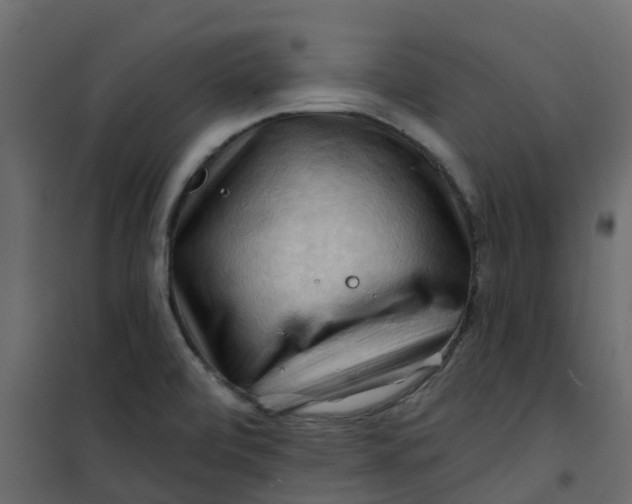 X0000101091472200807171836