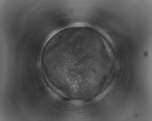 X0000101091473200807171836