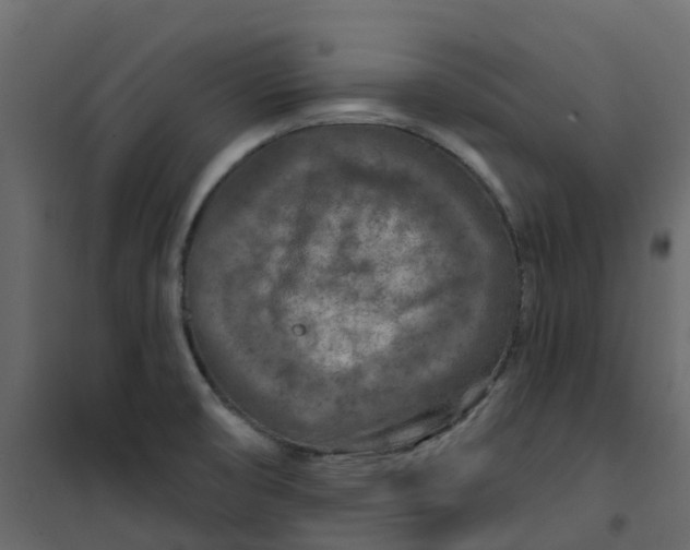 X0000101091474200807171836