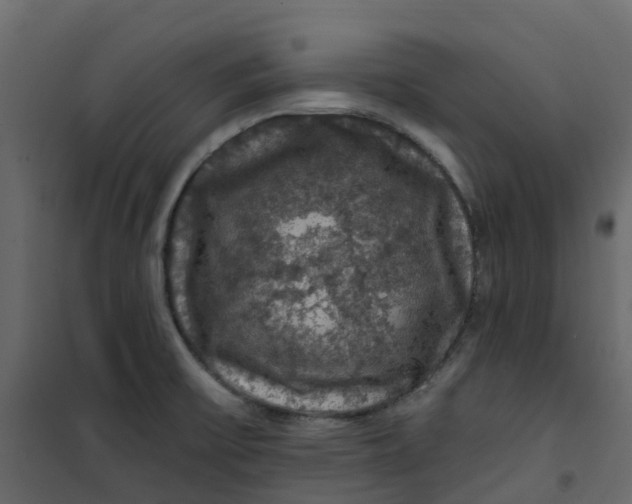 X0000101091475200807171836