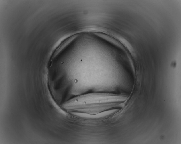 X0000101091476200807171836