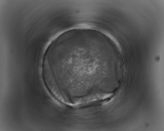 X0000101091477200807171836