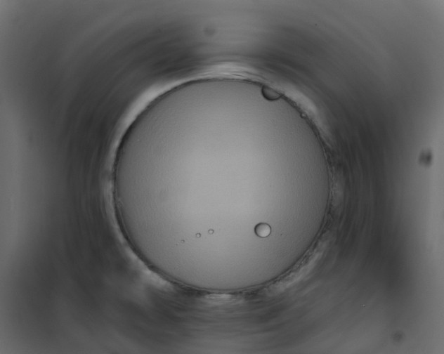 X0000101091478200807171836