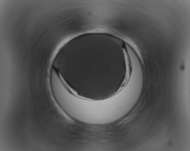 X0000101091480200807171836