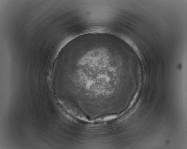 X0000101091481200807171836