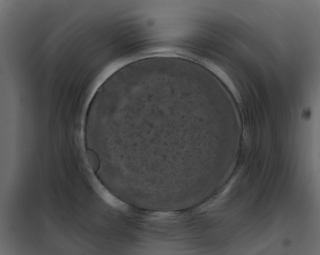 X0000101091482200807171836