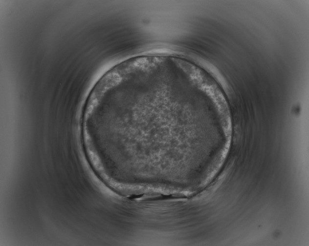 X0000101091483200807171836