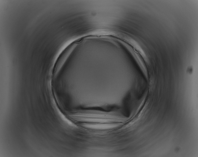 X0000101091484200807171836