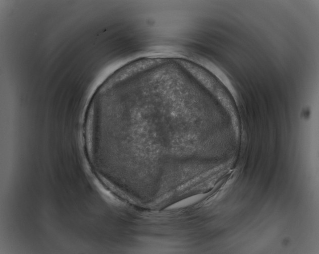 X0000101091485200807171836