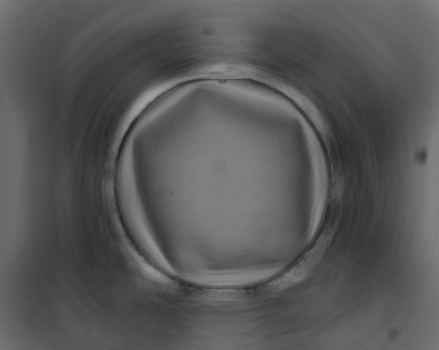 X0000101091486200807171836