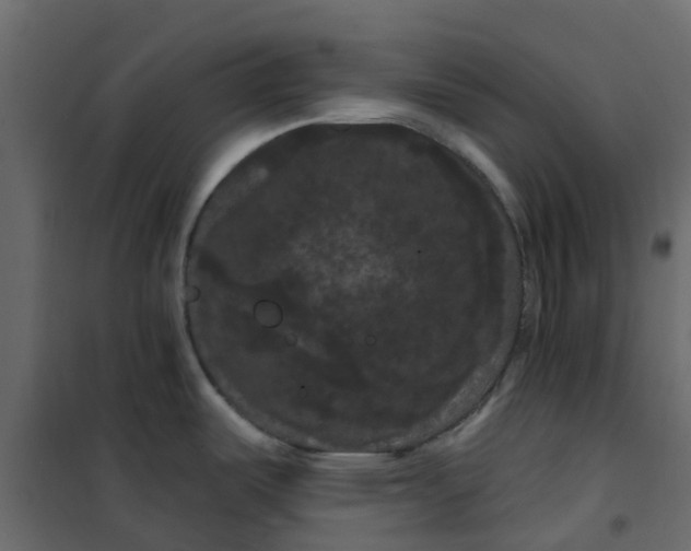 X0000101091487200807171836