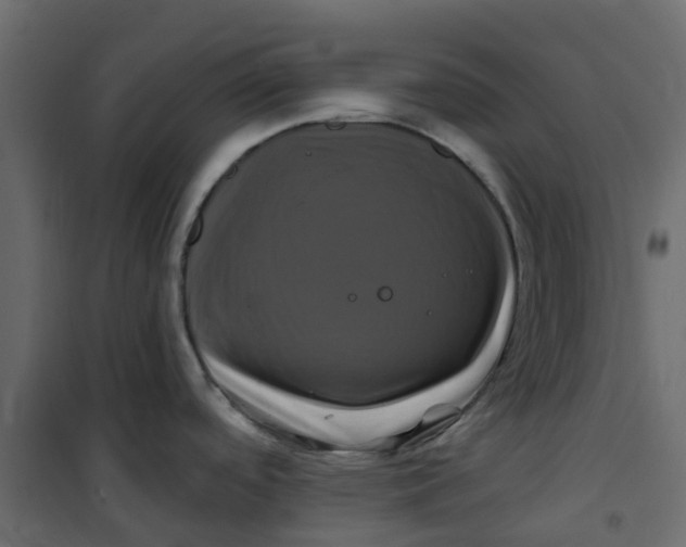 X0000101091488200807171836