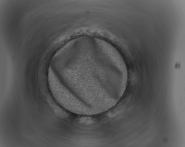 X0000101091489200807171835