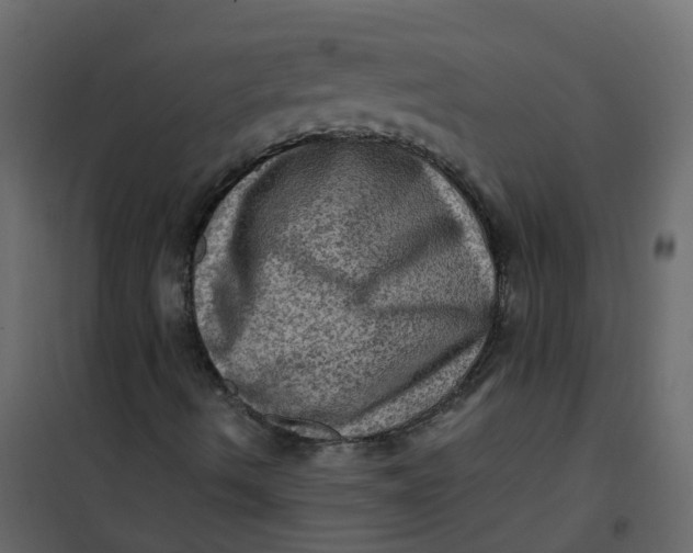 X0000101091490200807171835