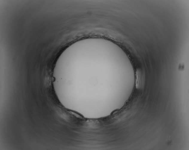 X0000101091491200807171835