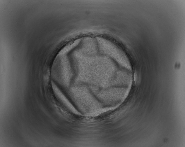 X0000101091492200807171835