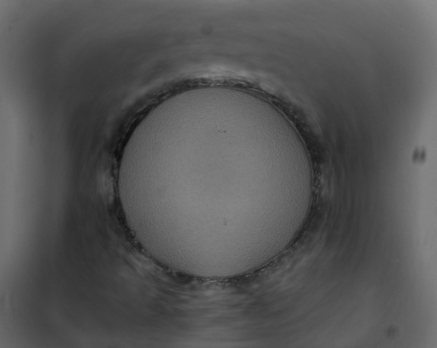 X0000101091493200807171835