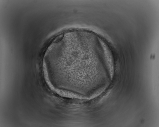 X0000101091494200807171835