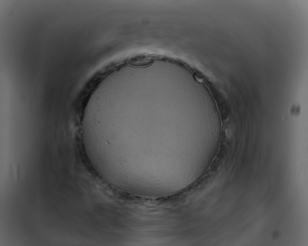 X0000101091495200807171835