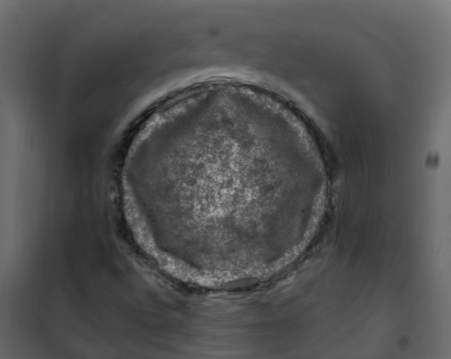 X0000101091496200807171835