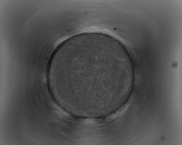 X0000101091497200807171835